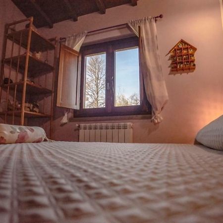 Villa Farfalla Bianca Vitorchiano Exteriér fotografie