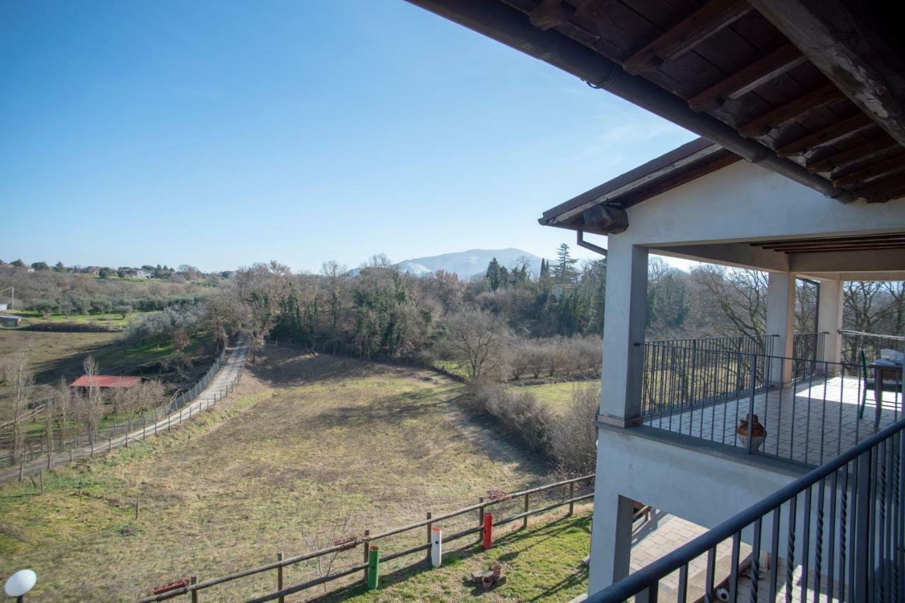 Villa Farfalla Bianca Vitorchiano Exteriér fotografie